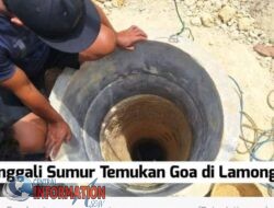 warga Sugio Lamongan menemukan gua kelelawar saat menggali sumur.