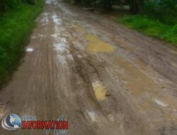 Jalan Desa Anjung Ganjang Dusun I Kecamatan Simpang Empat Kabupaten Asahan