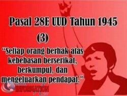 Seno, Fenomena Orang Makan Orang ” Homo Homini Lupus”,Fenomena Nyali Wasit dalam Realpolitik.