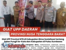 Pungli Bisa menurunkan Kredibilitas dan Kepentingan Kepada Pemerintah .