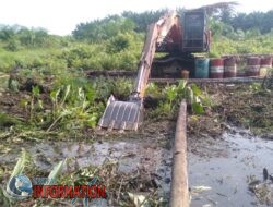 Diduga Kapolres Asahan telah tutup mata mengenai laporan perusakan tanaman dan lahan masyarakat desa teluk dalam .