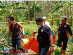 Jenazah diketemukan oleh pegawai Perhutani saat melakukan patroli,di Kawasan Hutan Regaloh.