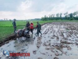 Babinsa Sidomukti Terus Melaksanakan Pendampingan Kepada Petani Guna Sukseskan Ketahanan Pangan.