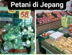 Produk Pertanian Jepang, paling maju  di Dunia.