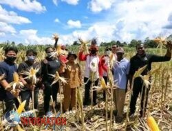 Transfer Ilmu Orang Jawa Ke Papua akan Jadi Program Transmigrasi.