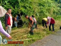 PEDULI LINGKUNGAN, BABINSA BERSAMA WARGA LAKSANAKAN GOTONG ROYONG