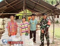 Babinsa Dampingi Gapoktan Dalam Pembagian Pupuk Dolomit Kepada Para Anggota Kelompok Tani desa Muara Bolak