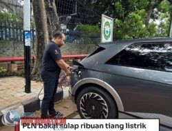 PLN Sulap Ribuan Tiang Listrik Se- Jawa ,  Bali.
