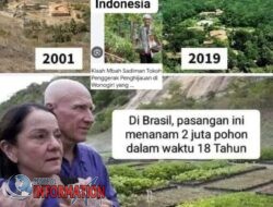 Lélia Wanick dan Sebastião Salgado,Tanam Jutaan Pohon Selama 18 Tahun.