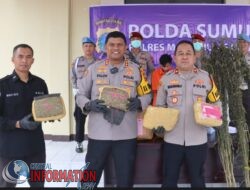 Pengiriman Paket Ganja Bertuliskan Bandrek di Amankan Polres Madina, 1 Kurir Berhasil di Tangkap.