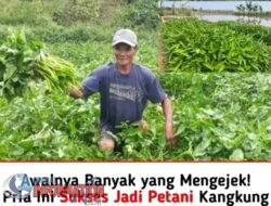 Merobah Nasib , Tanam Kangkung di Lahan Sempit Sukses Beli Lahan
