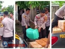 Apes Warga Payang , Simpan Miras di Kandang Kambing Terendus Polisi