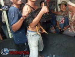 Rully” Membuka Usaha 303 Gelanggang Sabung Ayam  Wilayah Hukum Polsek Tenayan Raya Di Belakang Swalayan Hawai Jalan Arkom.