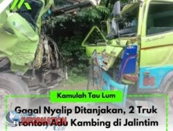 Dua Truk Tronton Hino adu Kambing di Jalan Nasional Palembang JambiKM 169