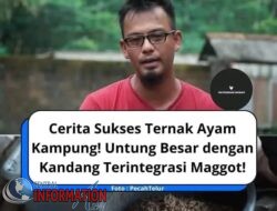 Teknologi Terapan ,menguntungkan, dihasilkan dari sistem  Pakan Magot