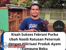 Hiliarisasi Produksi Ayam Kampung Beku