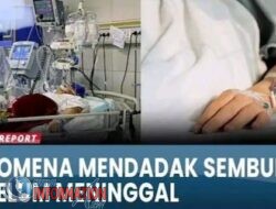 Terminal Lucidity, Fenomena Meninggal Mendadak , Hidup Sejenak Sebelum Perpisahan