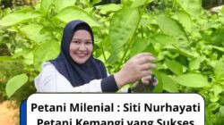 Kisah Petani Kemangi yang Sukses Beromset 43 Juta Per Bulan