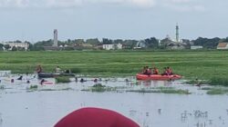 Pria Asal  Lamongan Tenggelam Di waduk  Saat Mencari Rumput  kangkung