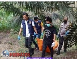 Heboh Penemuan Jenazah Tergantung di Kebun Sawit di Keluang, Mukanya Mengenaskan