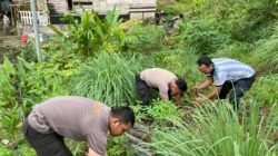 Dukung Asta Cita Bapak Presiden RI, Polres Sibolga Laksanakan Penanaman Bibit Sayuran