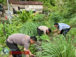Dukung Asta Cita Bapak Presiden RI, Polres Sibolga Laksanakan Penanaman Bibit Sayuran