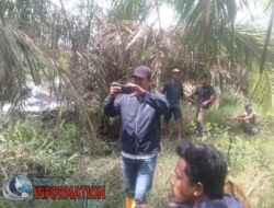 Perkebunan PT padasa enam utama main hakim sendiri, Tanah masyarakat di garap.