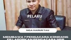 Sekayu-Seorang oknum pengacara yang berkantor di Kota Sekayu, Kabupaten Musi Banyuasin (Muba) berinisial Noveldi Putra