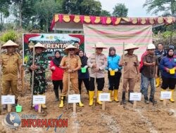 Kapolsek Sanga Desa Pimpin Penanaman Jagung Serentak 1 Juta Hektar dalam Rangka Dukung Swasembada Pangan 2025