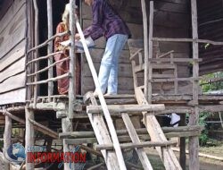 Berbagi Berkah, IWO Muba Bagikan Sembako Untuk Warga Kurang Mampu