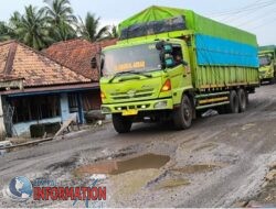 Kondisi Jalan Lintas Tengah (Jalinteng) di Kecamatan Sanga Desa, Musi Banyuasin, semakin memprihatinkan.