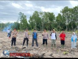 Polsek concong dalam laksanakan kegiatan penanaman benih jagung