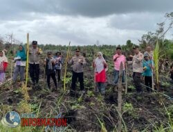 Kapolsek Concong Pimpin Penanaman Jagung, Dukung Program Ketahanan Pangan Presiden.