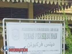 Dugaan penyelewengan dana DAK(dana alokasi khusus.) oleh dinas perkebunan tembilahan kab indragirihilir,riau…