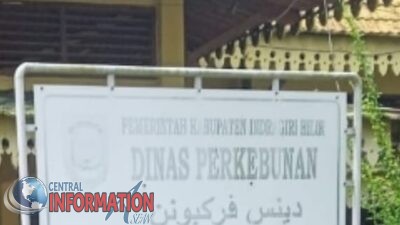 Dugaan penyelewengan dana DAK(dana alokasi khusus.) oleh dinas perkebunan tembilahan kab indragirihilir,riau…
