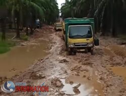 Tidak Ada Lagi Terpasang Stiker Petro Muba, Lalu Siapa yang Mengambil Alih Jasa Angkat Angkut Minyak Illegal di Kecamatan Keluang ?