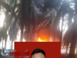 Diduga Polsek Keluang Melindungi Sumur minyak ilegal di   PT Hindoli keluang