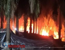 Sumur Minyak Diduga Milik Santo Terbakar di Keluang, Kapolsek Tak Berkutik