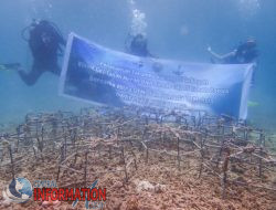 Sinode GKI dan Mitra UEM Gelar Penanaman Terumbu Karang di Pantai Harlem