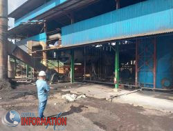 Pabrik Kelapa Sawit (PKS) milik PT. DMS  Di duga Cemari Lingkungan Sekitar