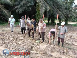 Polsek Tualang Turut Andil dalam Program Asta Cita Lewat Penanaman Jagung di PT. AIP Di Lahan 1 Hektar