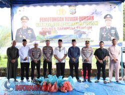 Polres Tapteng Sembeli 7 Ekor Hewan Qurban, Rayakan Idul Adha 1446 H