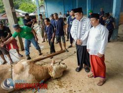 Muba Rayakan Idul Adha Penuh Makna: 22 Sapi dan 10 Kambing Dibagikan ke Warga