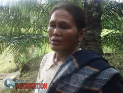 Keberadaan Pabrik Kelapa Sawit (PKS) milik PT. Dalanta Marsada Sukses (DMS), Cemari Lingkungan