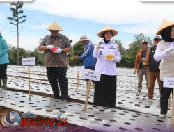 Wakil Wali Kota Hj,Bertha Bersama Ketua TP PKK Pagar Alam Secara Simbolis Memberikan Bantuan Bibit Bawang Merah.